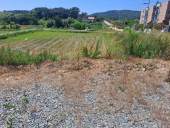 2024타경2307 법원경매 사진19 | 충남 서산시 전 경매