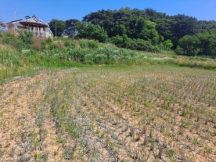 2024타경2307 법원경매 사진20 | 충남 서산시 전 경매