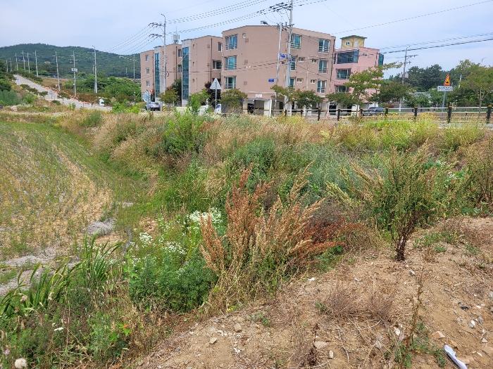 2024타경2307 법원경매 사진6 | 충남 서산시 전 경매