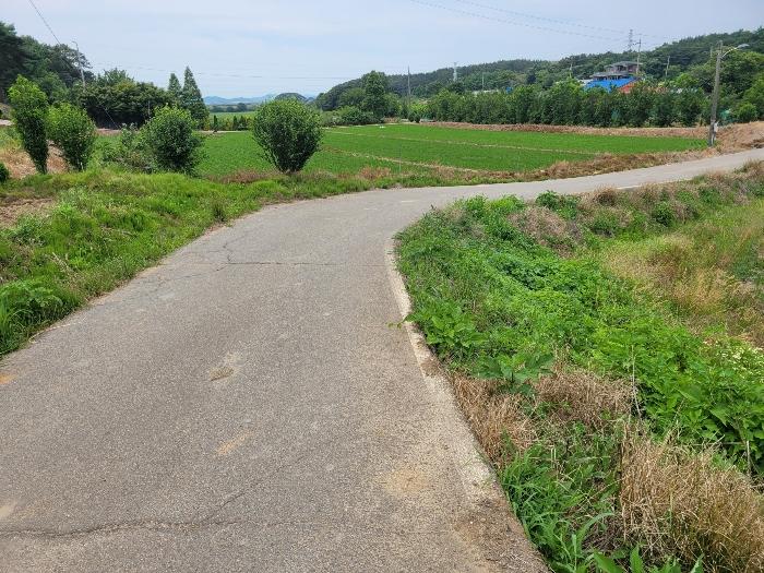 2024타경2307 법원경매 사진7 | 충남 서산시 전 경매