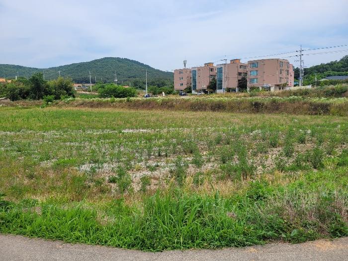 2024타경2307 법원경매 사진8 | 충남 서산시 전 경매