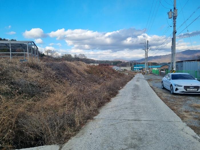 2024타경5762 법원경매 사진3 | 충북 괴산군 임야 경매
