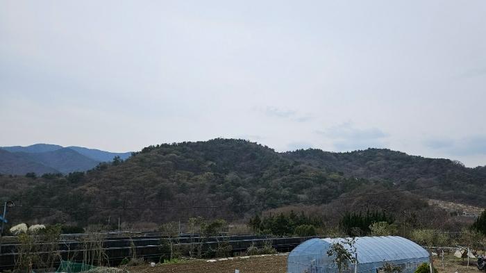 2024타경876 법원경매 사진5 | 경남 함안군 임야 경매