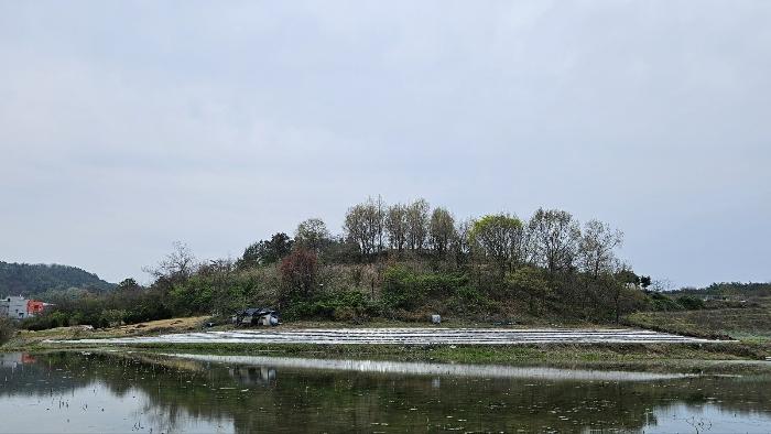 2024타경876 법원경매 사진6 | 경남 함안군 임야 경매