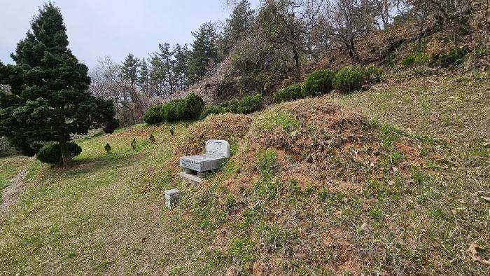 2024타경876 법원경매 사진8 | 경남 함안군 임야 경매