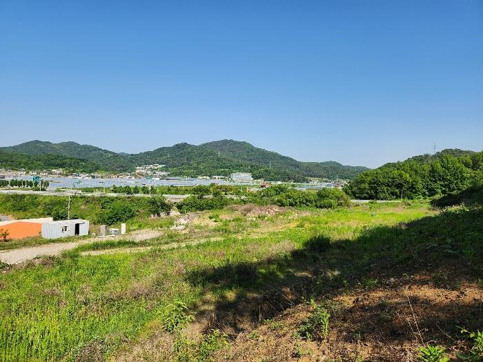 법원경매 2024타경1849 사진2 | 성주군 성주읍 학산리 임야 경매