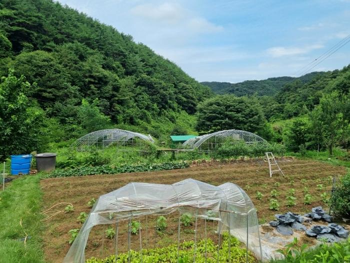 2024타경35738 법원경매 사진4 | 경남 진주시 과수원 경매
