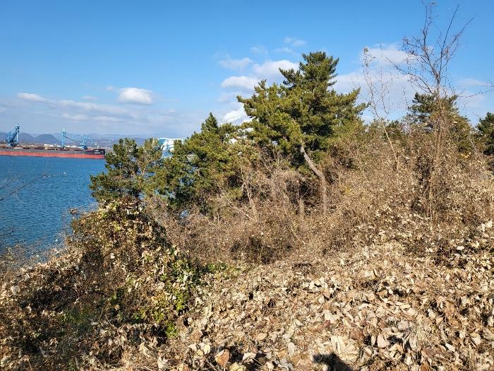 경상남도 하동군 금남면 대도리 20-1 법원경매 물건 대표사진
