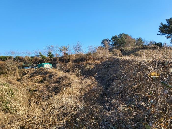2024타경6587 법원경매 사진16 | 경남 하동군 대지,임야,전답 경매