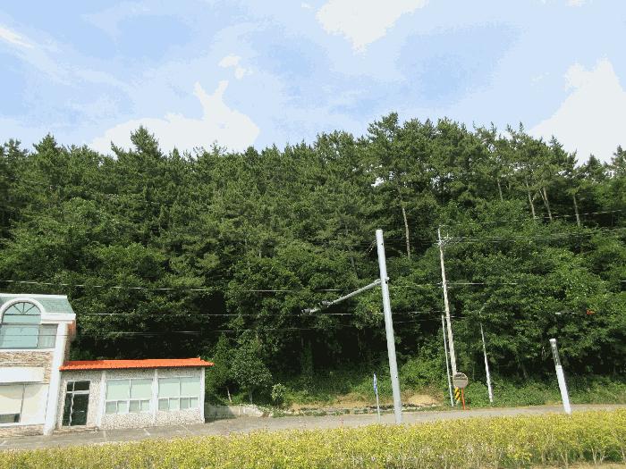 2024타경1875 법원경매 사진9 | 경남 고성군 답 경매
