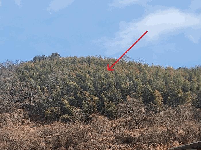 2025타경20057 법원경매 사진6 | 경남 거제시 전 경매