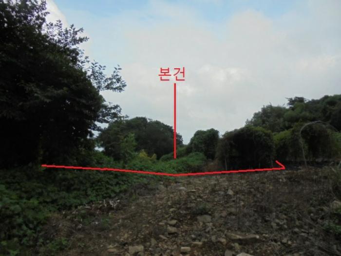 충청북도 단양군 적성면 소야리 560-4 법원경매 물건 대표사진