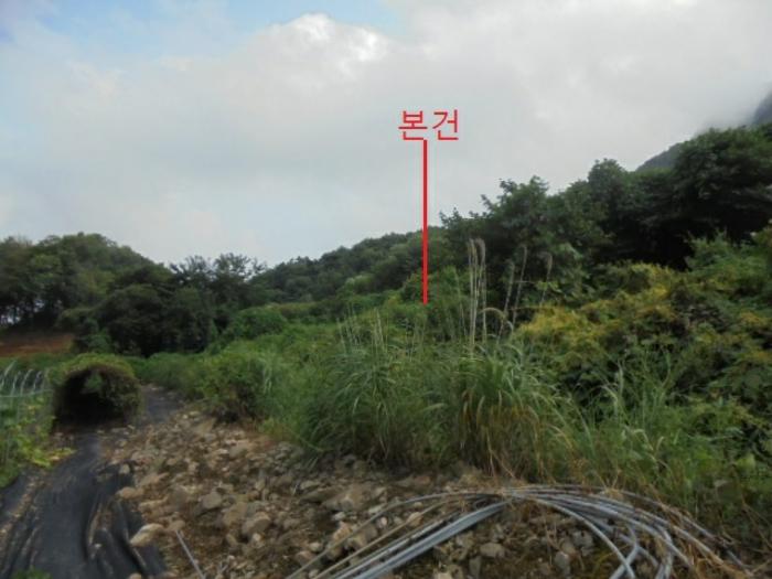 2024타경1155 법원경매 사진2 | 충북 단양군 임야 경매