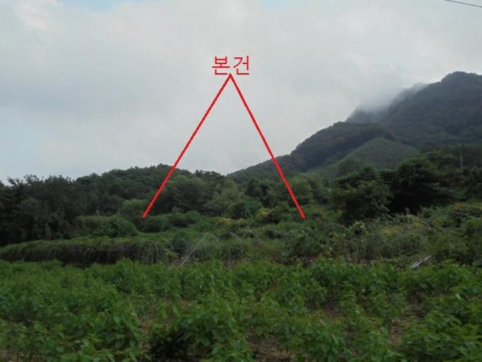 2024타경1155 법원경매 사진3 | 충북 단양군 임야 경매