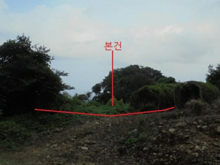 2024타경1155 법원경매 사진4 | 충북 단양군 임야 경매
