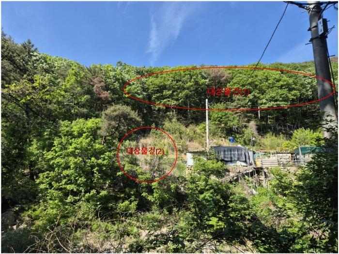 법원경매 2024타경104081 사진13 | 부산 기장군 장안읍 용소리 임야 경매