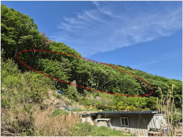 법원경매 2024타경104081 사진5 | 부산 기장군 장안읍 용소리 임야 경매