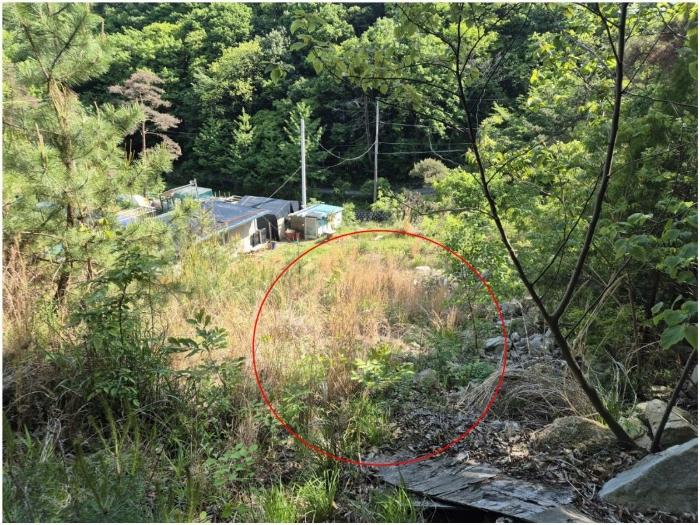 법원경매 2024타경104081 사진6 | 부산 기장군 장안읍 용소리 임야 경매