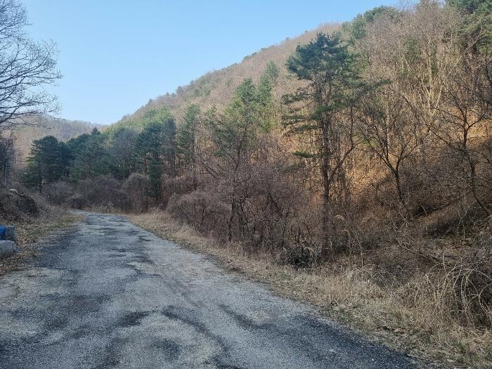 경기도 가평군 상면 항사리 30 법원경매 물건 대표사진