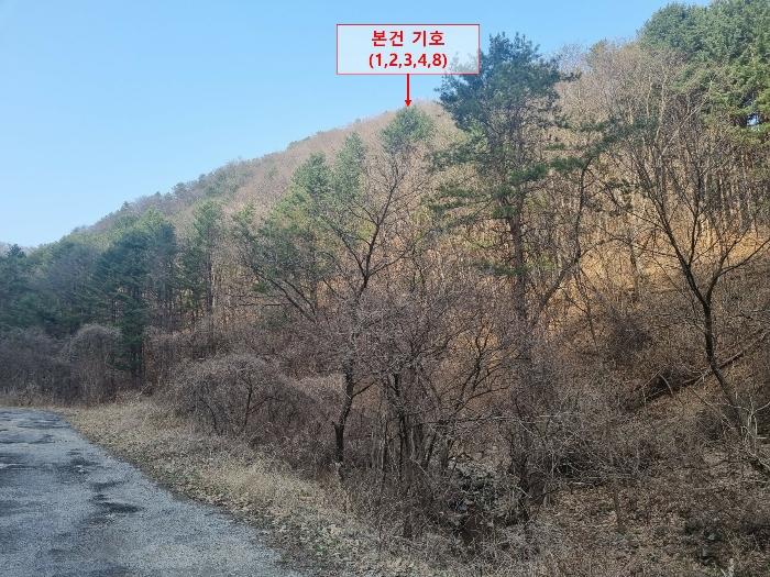 2024타경73455 법원경매 사진22 | 경기 가평군 전답 경매