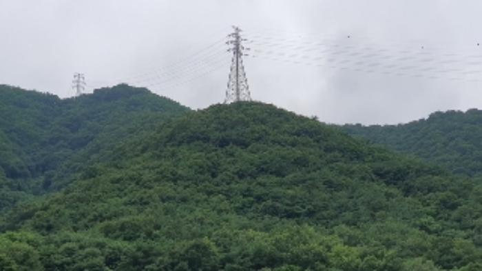 2024타경103706 법원경매 사진5 | 창원 마산합포구 임야 경매
