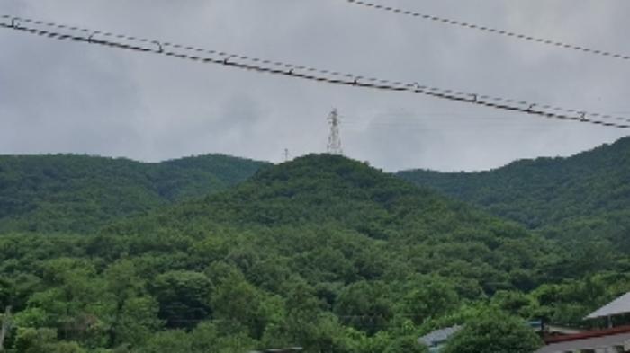 2024타경103706 법원경매 사진6 | 창원 마산합포구 임야 경매