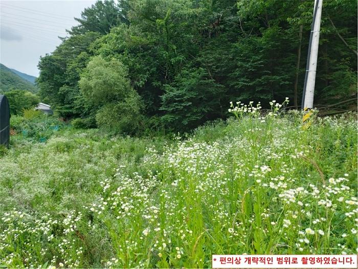 법원경매 2024타경3468 사진8 | 광주시 남한산성면 엄미리 593 펜션(캠핑장) 경매