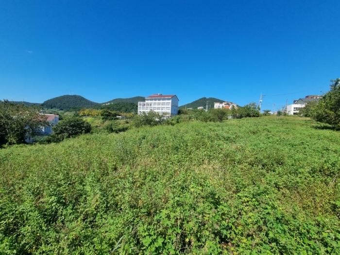 2024타경29774 법원경매 사진2 | 경남 통영시 전 경매