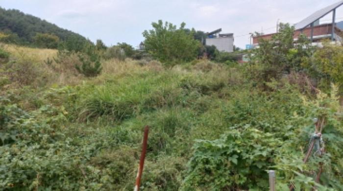 2024타경30477 법원경매 사진7 | 경남 거제시 답 경매