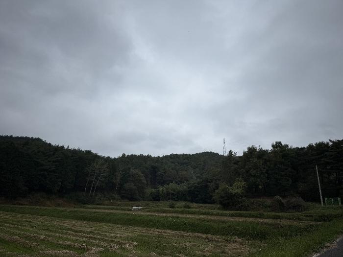 2024타경4275 법원경매 사진2 | 전남 보성군 전 경매