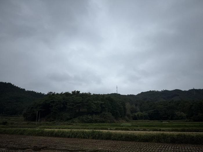 2024타경4275 법원경매 사진3 | 전남 보성군 전 경매