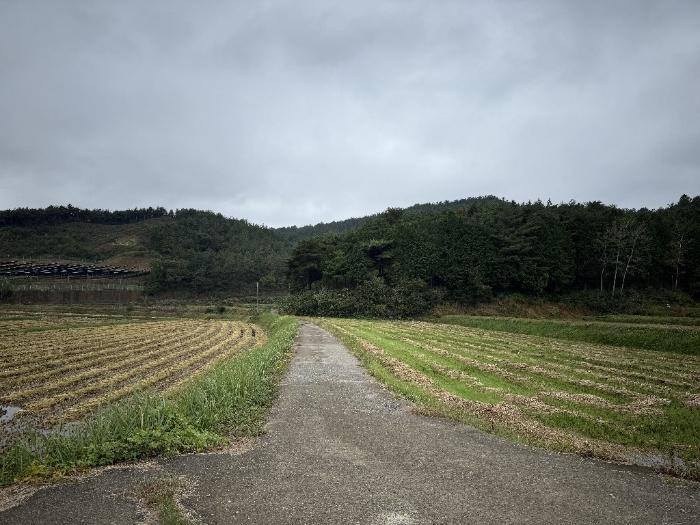 2024타경4275 법원경매 사진5 | 전남 보성군 전 경매