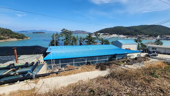2024타경535 법원경매 사진12 | 전남 완도군 주택건물 경매