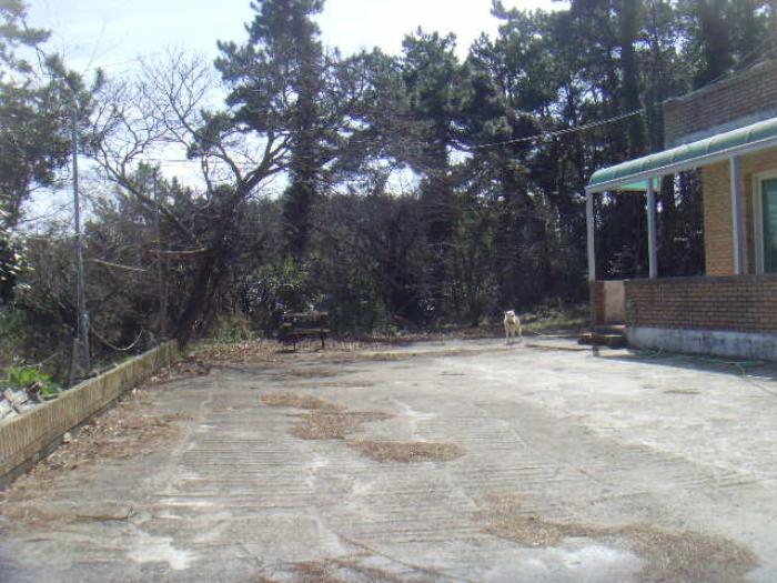 2024타경535 법원경매 사진49 | 전남 완도군 주택건물 경매