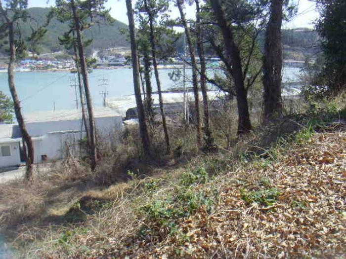 2024타경535 법원경매 사진67 | 전남 완도군 주택건물 경매