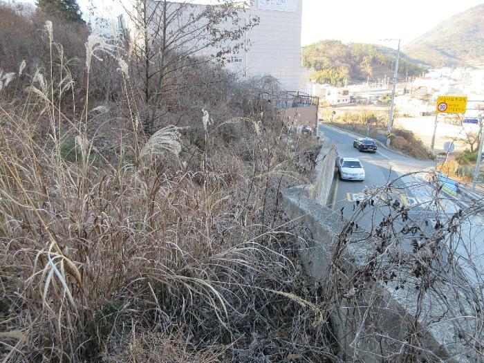 2024타경4737 법원경매 사진3 | 경남 거제시 임야 경매
