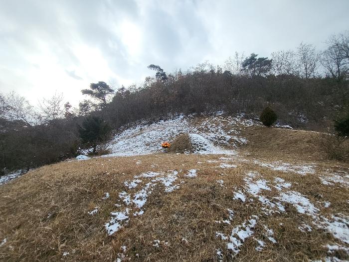 2024타경124189 법원경매 사진2 | 충남 금산군 전 경매