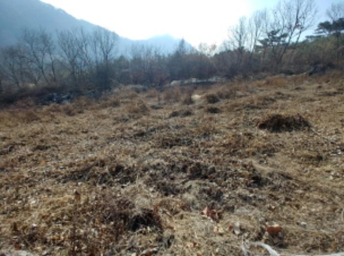 2024타경124189 법원경매 사진28 | 충남 금산군 전 경매