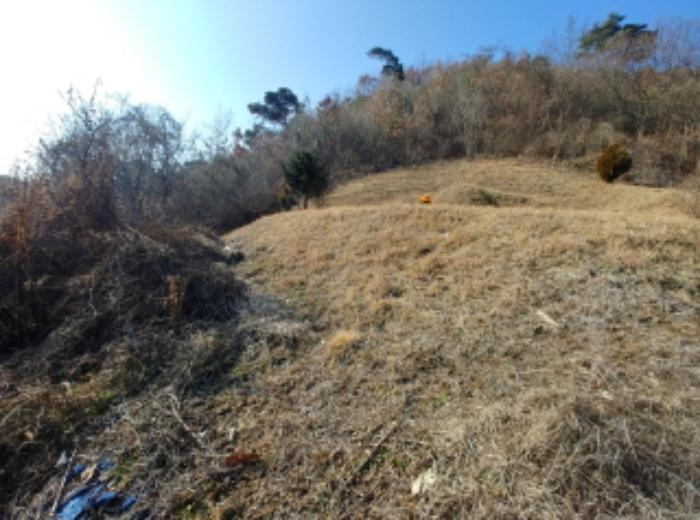 2024타경124189 법원경매 사진29 | 충남 금산군 전 경매