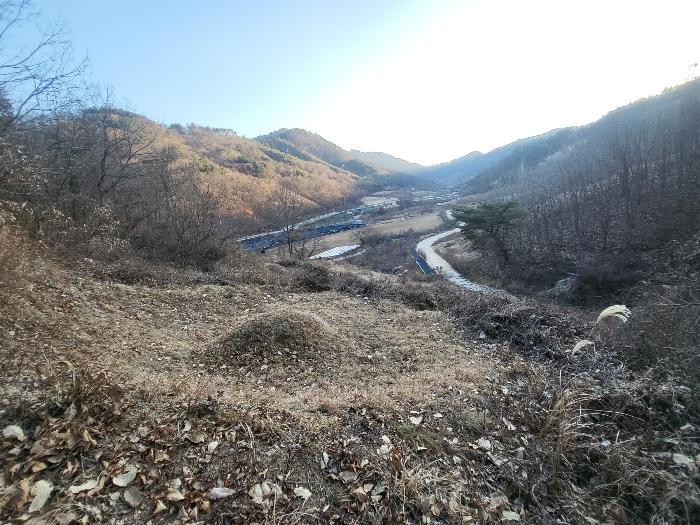 2024타경124189 법원경매 사진4 | 충남 금산군 전 경매