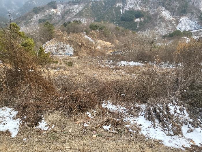 2024타경124189 법원경매 사진5 | 충남 금산군 전 경매