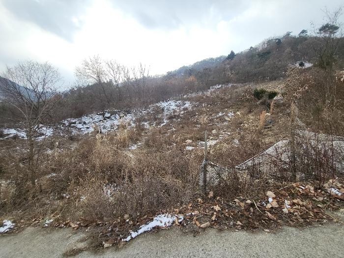 2024타경124189 법원경매 사진6 | 충남 금산군 전 경매
