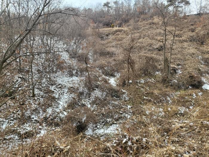 2024타경124189 법원경매 사진8 | 충남 금산군 전 경매