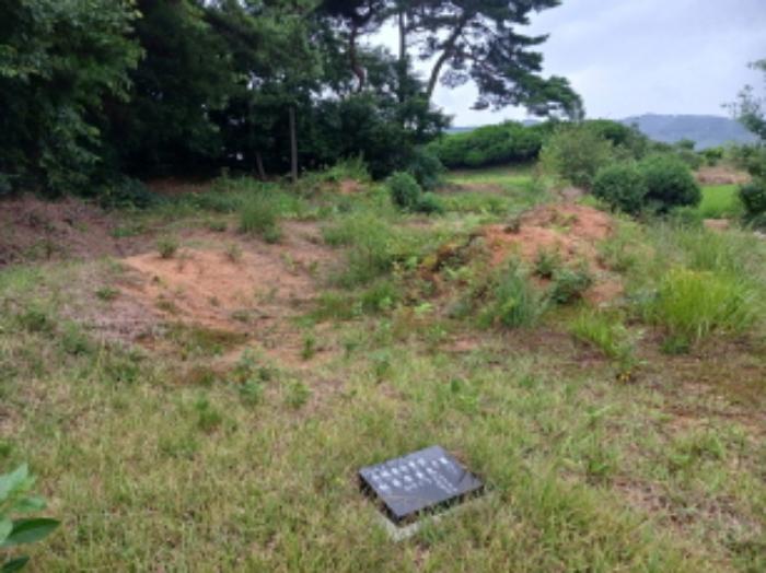 2024타경56380 법원경매 사진7 | 충남 서산시 임야 경매