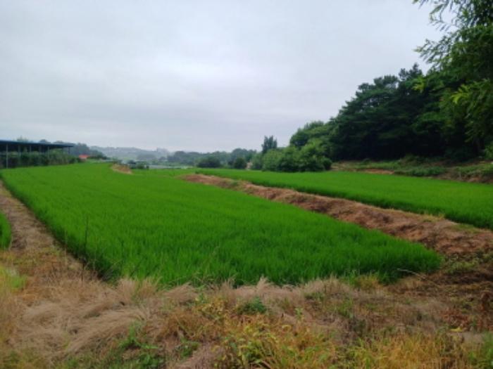 2024타경56380 법원경매 사진9 | 충남 서산시 임야 경매