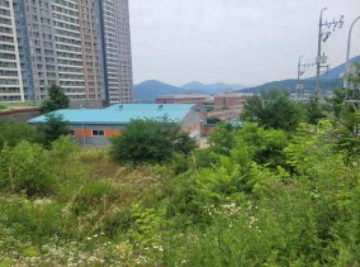 2024타경36029 법원경매 사진32 | 대구 달성군 공장 경매