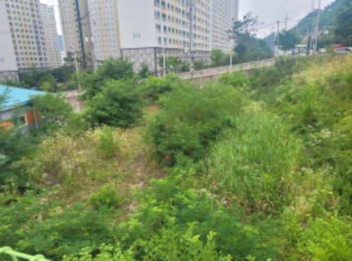 2024타경36029 법원경매 사진40 | 대구 달성군 공장 경매