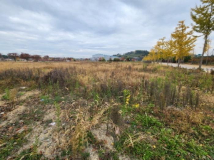 2024타경2624 법원경매 사진5 | 전북 부안군 공장용지 경매