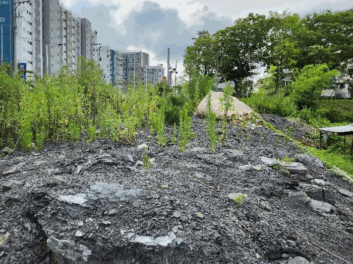 경상남도 사천시 사남면 월성리 394-1 법원경매 물건 대표사진