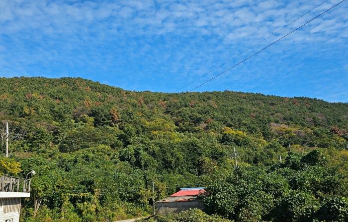 경상남도 통영시 욕지면 서산리 산1-45 법원경매 물건 대표사진